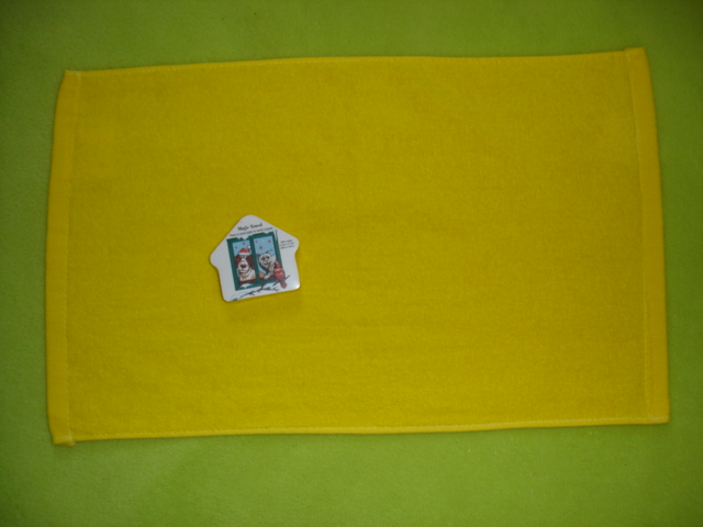 Plain Compressed Towel in House Shape (YT-645)